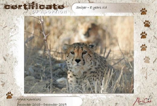 AfriCat Foundation NAMIBIA